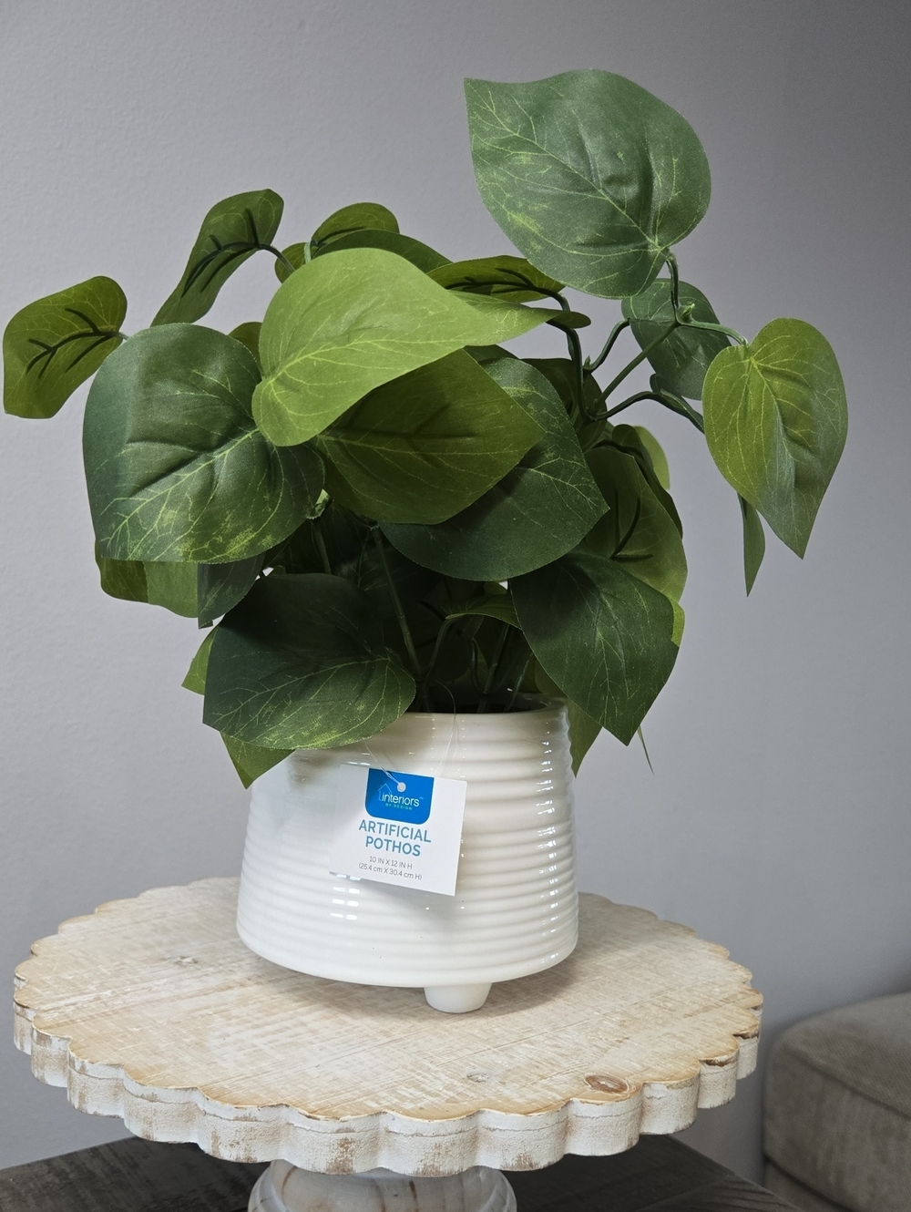 Artificial Pothos in White Ceramic Planter